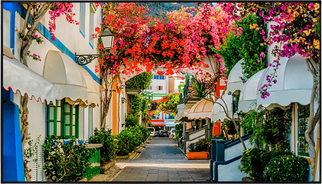 73-1-xn86b-4fa-xn86f-4f-56628739297